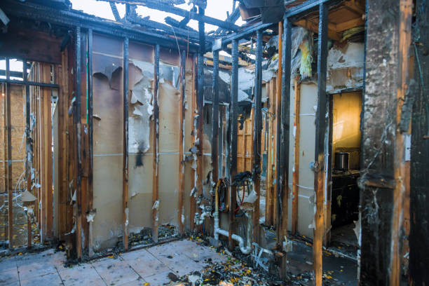 Professional Odor Removal technician working in Heath, TX